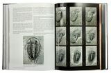 Book - The Back to the Past Museum Guide to Trilobites II - Photo 4